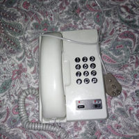 Telefono di casa con pulsanti