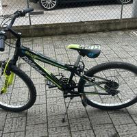 MOUNTAIN BIKE raggio 24’