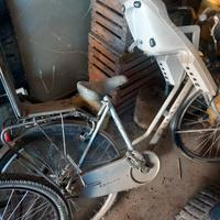 bici donna con 2 seggiolini