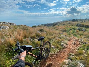 Bottecchia 29’ mountainbike