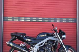 TRIUMPH Speed Triple 955i .