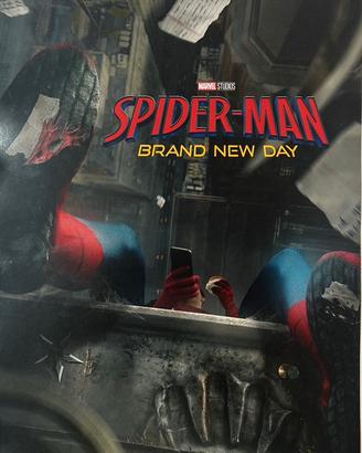 Poster Spider-Man: Brand New Day