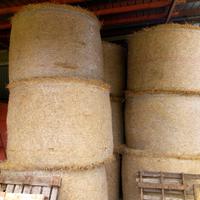 Fieno in rotoli
