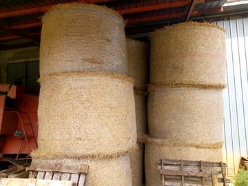 Fieno in rotoli