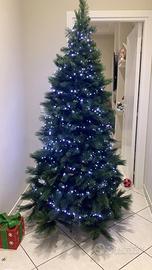 Albari di natake 2 metri e 10