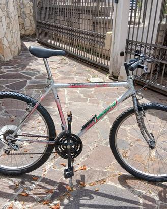 Bici Mountan Bike Bortolotto ruote 26