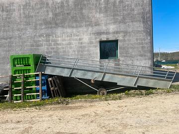 Ponte carico per suini