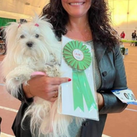 Maltese coreano taglia piccola, mamma pedigree