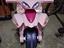 Immagine 1