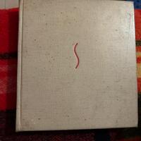 Libro d’arte su Goya