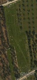 Terreno in agro ceglie