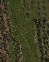 Terreno in agro ceglie