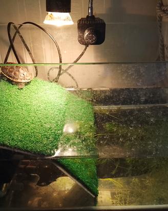 acquario 23 l