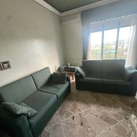 Coppia di divani da salotto