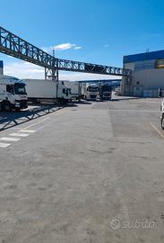 Autista Pat ce cqc con esperienza