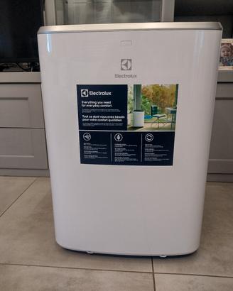 Climatizzatore ELECTROLUX 