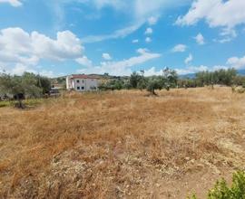 Terreno Edificabile- Taverna di Montalto