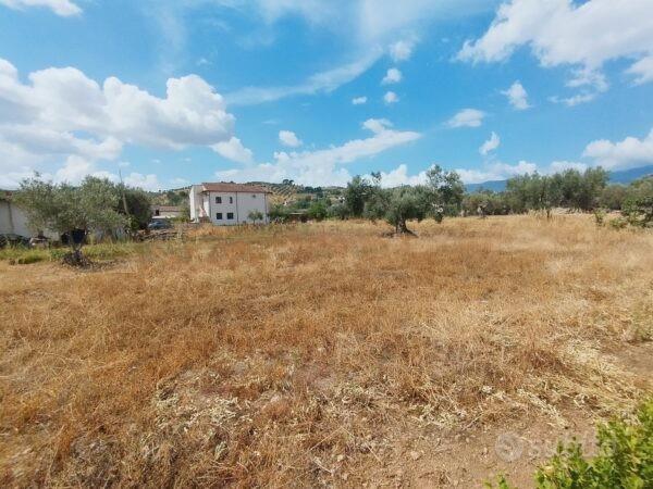 Terreno Edificabile- Taverna di Montalto