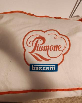 Piumone matrimoniale Bassetti