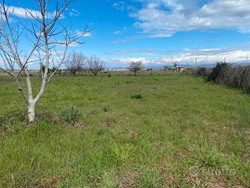 Terreno agricolo recintato