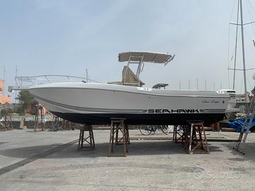 Sea Hawk 265 con 2 Johnson ( Suzuki 4 tempi ) 390