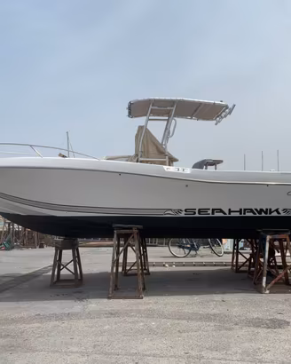 Sea Hawk 265 con 2 Johnson ( Suzuki 4 tempi ) 390