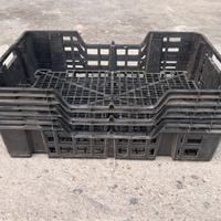 Cassette plateau per uva frutta verdura