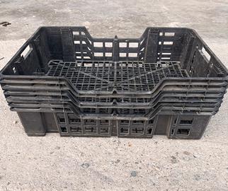 Cassette plateau per uva frutta verdura