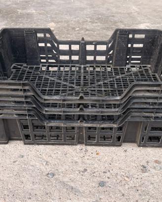 Cassette plateau per uva frutta verdura