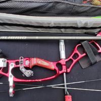 Arco compaund Hoyt , mirino shibuya , borsa e acc