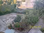 Immagine 28
