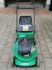 taglia erba da giardino