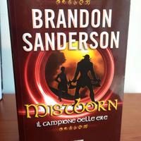 Brandon Sanderson Il campione delle ere