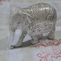 Elefante indiano porta fortuna