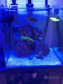 Accessori acquario
