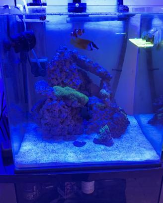 Accessori acquario