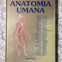 Trattato di Anatomia Umana - Vol. 3 - Anastasi