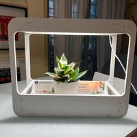 Mini serra da interno