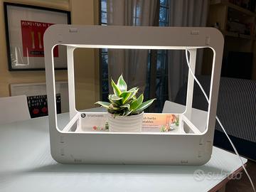 Mini serra da interno