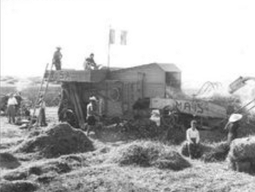 Trebbia a fermo e pressa