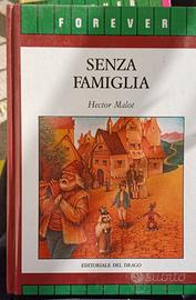 Libro "senza famiglia" la storia del piccolo Remi