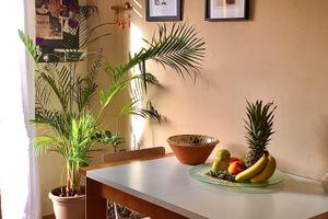 Centro storico 50metri da Trib. penale