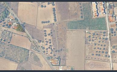 Pulsano Terreno agricolo adiacenze Via La Fosa