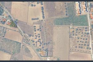 Pulsano Terreno agricolo adiacenze Via La Fosa