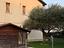 Immagine 12