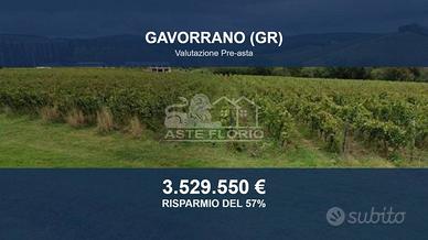 Immobile in asta di 20000 m² a Gavorrano