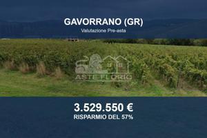 Immobile in asta di 20000 m² a Gavorrano