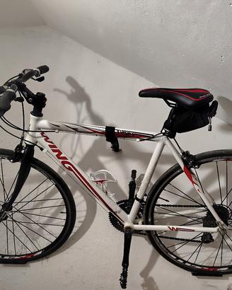 bici ibrida adriatica 