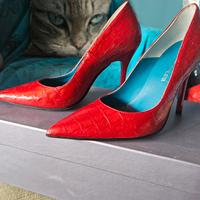 Décolleté in pelle rossa