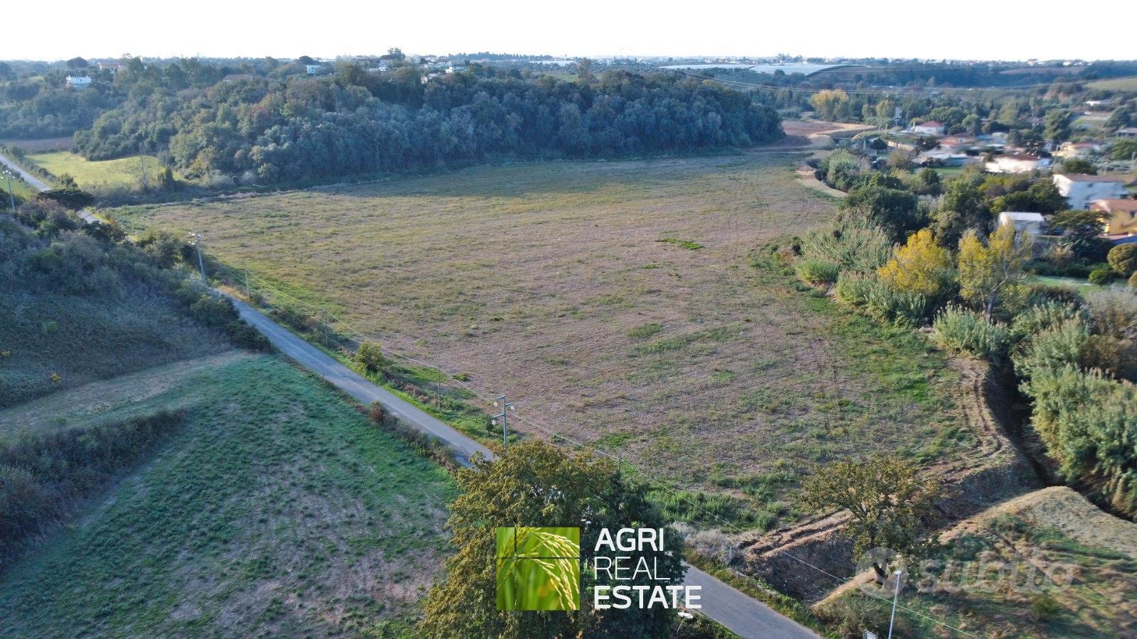 Ardea (RM) - Terreno 4,5 HA con pozzo | TR459 - Vista 4